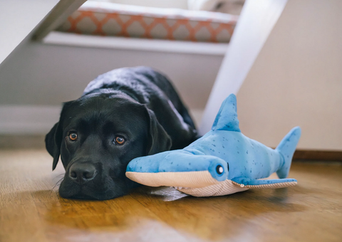 P.L.A.Y. Ocean Buddies Hammerhead dog toy showing detailed side view with textured fabric and interactive features.