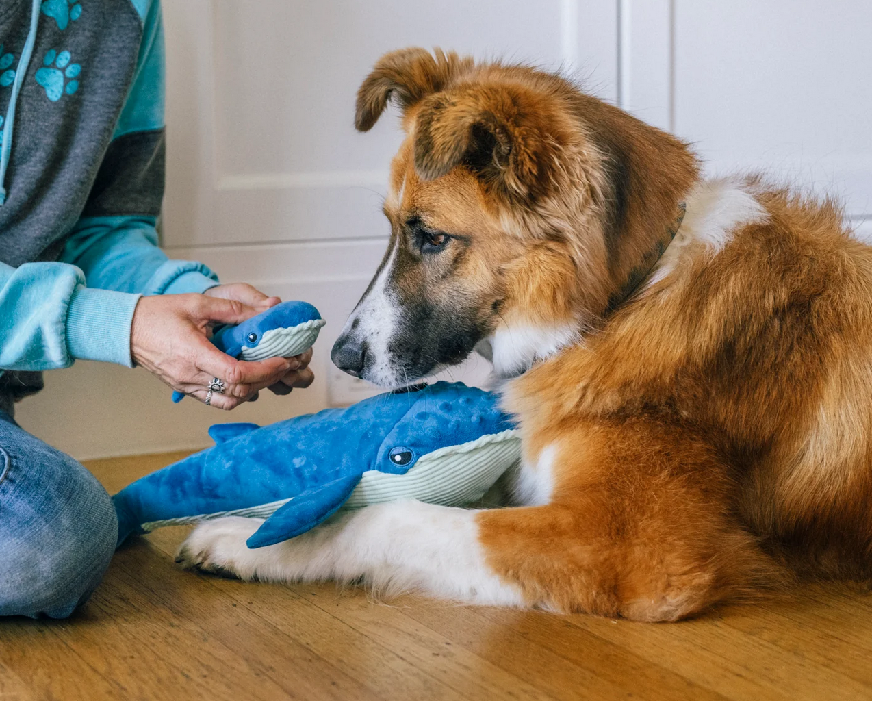 P.L.A.Y. Ocean Buddies Blue Whale and Baby plush dog toys showing detachable design and size comparison.