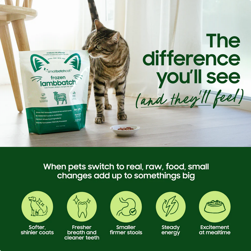 Small Batch Freeze-Dried Turkey Meal Bites for cats displayed in feeding bowl or lifestyle setting.