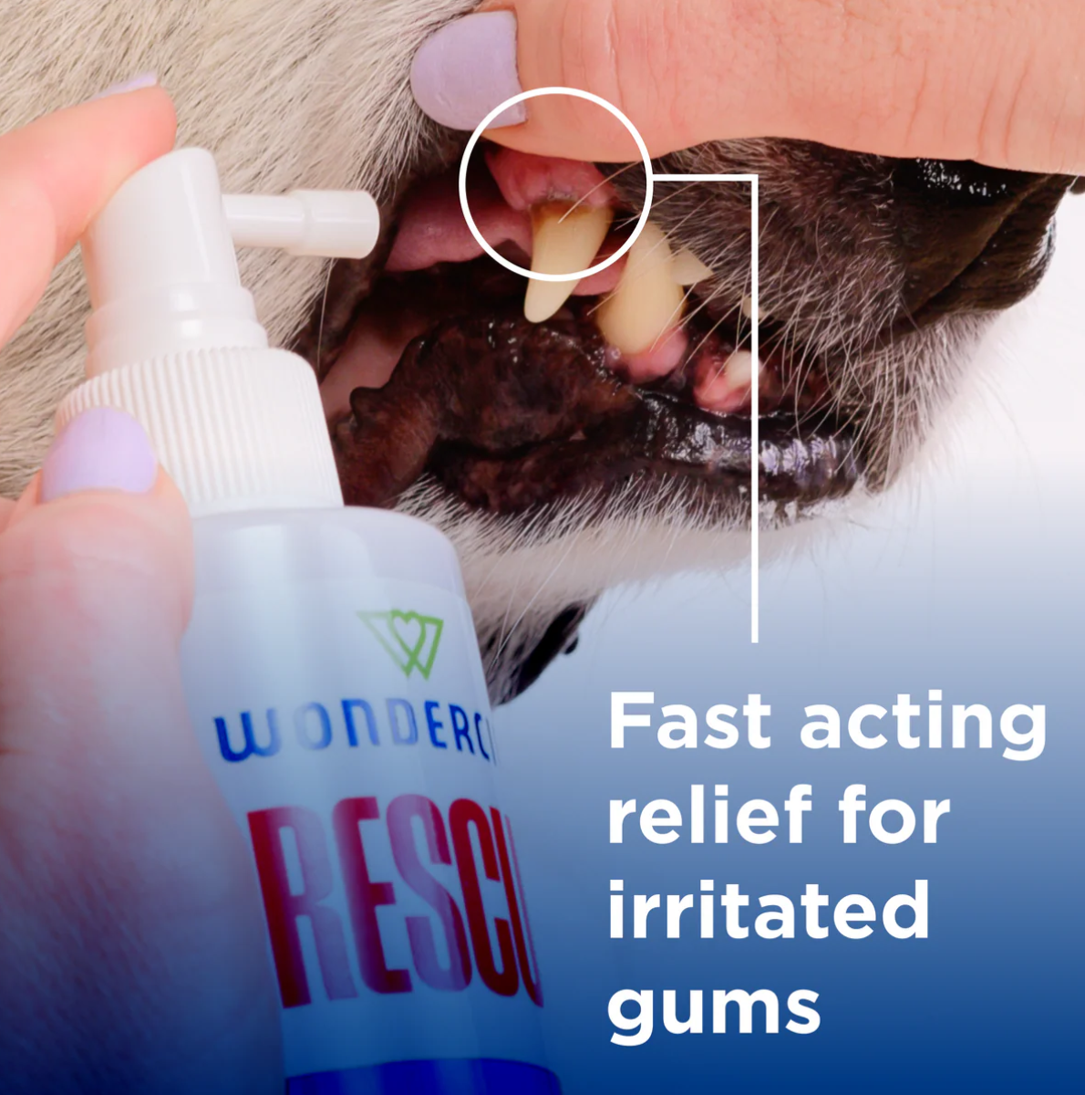 Wondercide Oral Spray bottle shown from an alternate angle highlighting product labeling details.