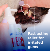 Wondercide Oral Spray bottle shown from an alternate angle highlighting product labeling details.
