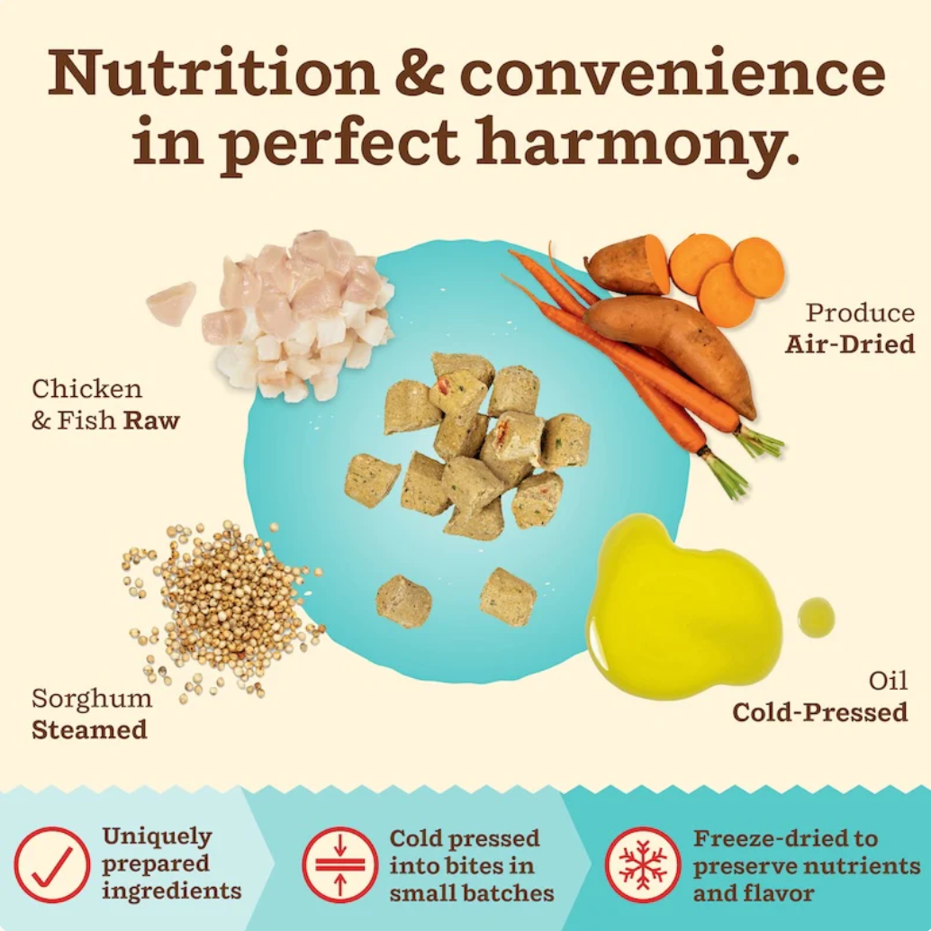 Primal Kibble In The Raw Chicken & Fish cat food shown in a real home feeding scenario.