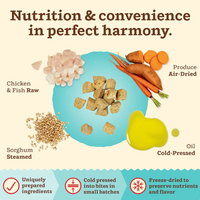 Primal Kibble In The Raw Chicken & Fish cat food shown in a real home feeding scenario.