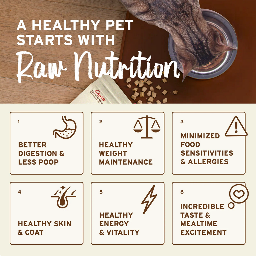 Primal Kibble In The Raw Chicken & Fish cat food packaging shown from an alternate angle.