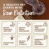 Primal Kibble In The Raw Chicken & Fish cat food packaging shown from an alternate angle.