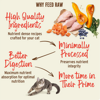 Primal Kibble In The Raw Chicken & Fish cat food packaging shown from an alternate product angle.