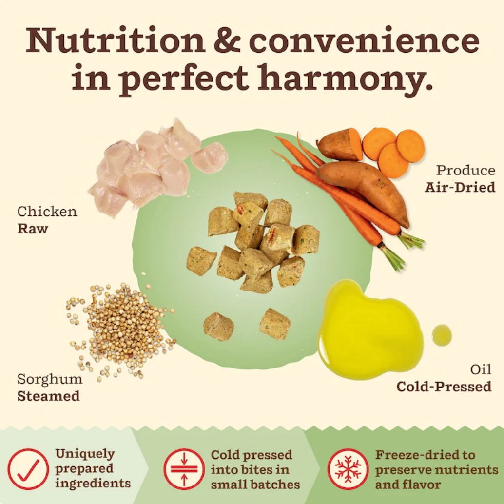 Primal Kibble In The Raw Chicken cat food shown in a real-world feeding or lifestyle setting.
