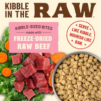 Close-up detail of Primal Kibble In The Raw Beef dry cat food packaging design and branding.