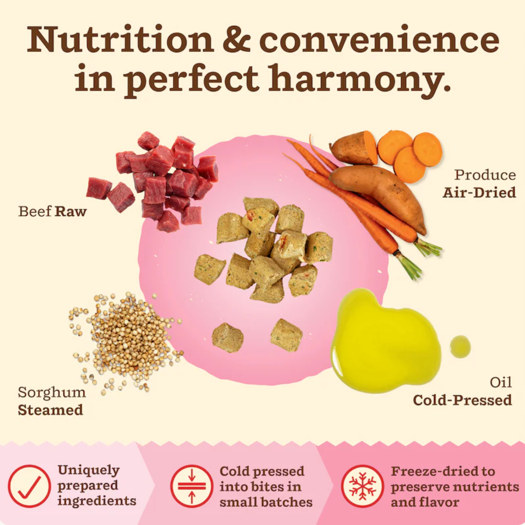 Primal Kibble In The Raw Beef cat food shown in a real-life feeding or lifestyle setting.