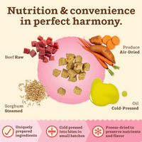 Primal Kibble In The Raw Beef cat food shown in a real-life feeding or lifestyle setting.