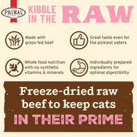 Primal Kibble In The Raw Beef cat food package displayed from an alternate angle showing product details.