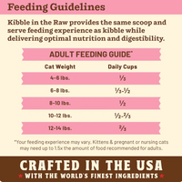 Primal Kibble In The Raw Beef cat food packaging shown from an alternate angle highlighting product details.