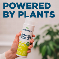 Wondercide | Flea Shampoo