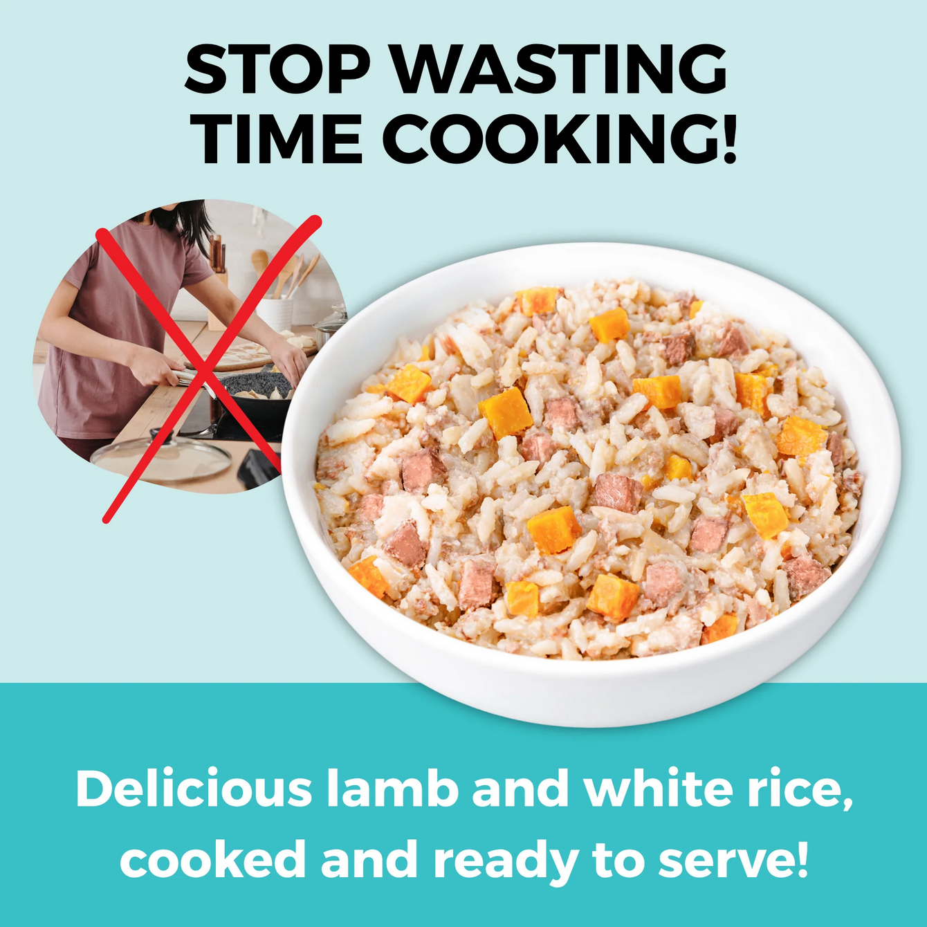 Koha Bland Recipe Lamb canned dog food shown in a real-world feeding or lifestyle setting.