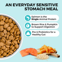Close-up detail of Koha Bland Recipe Salmon Kibble dry dog food packaging highlighting key ingredients.
