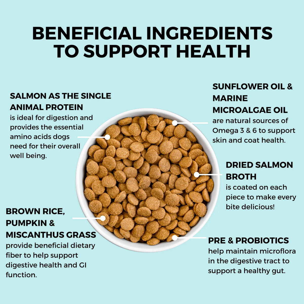 Close-up detail of Koha Bland Recipe Salmon Kibble packaging highlighting key product information and ingredients.