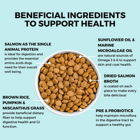 Close-up detail of Koha Bland Recipe Salmon Kibble packaging highlighting key product information and ingredients.