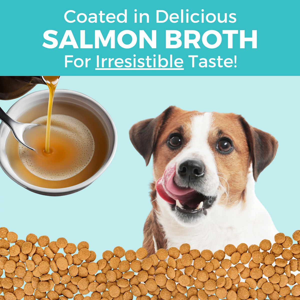 Koha Bland Recipe Salmon Kibble dry dog food bag displayed from a supplementary angle.