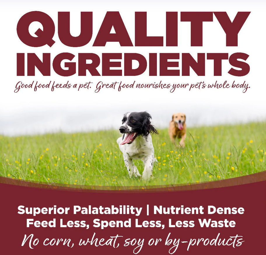 Nutrisource | Beef & Rice