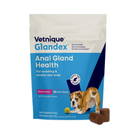Glandex | Soft Chews | Bacon & Pumpkin 30ct
