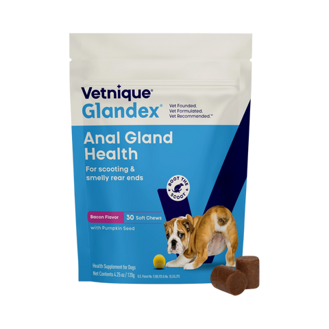 Glandex | Soft Chews | Bacon & Pumpkin 30ct