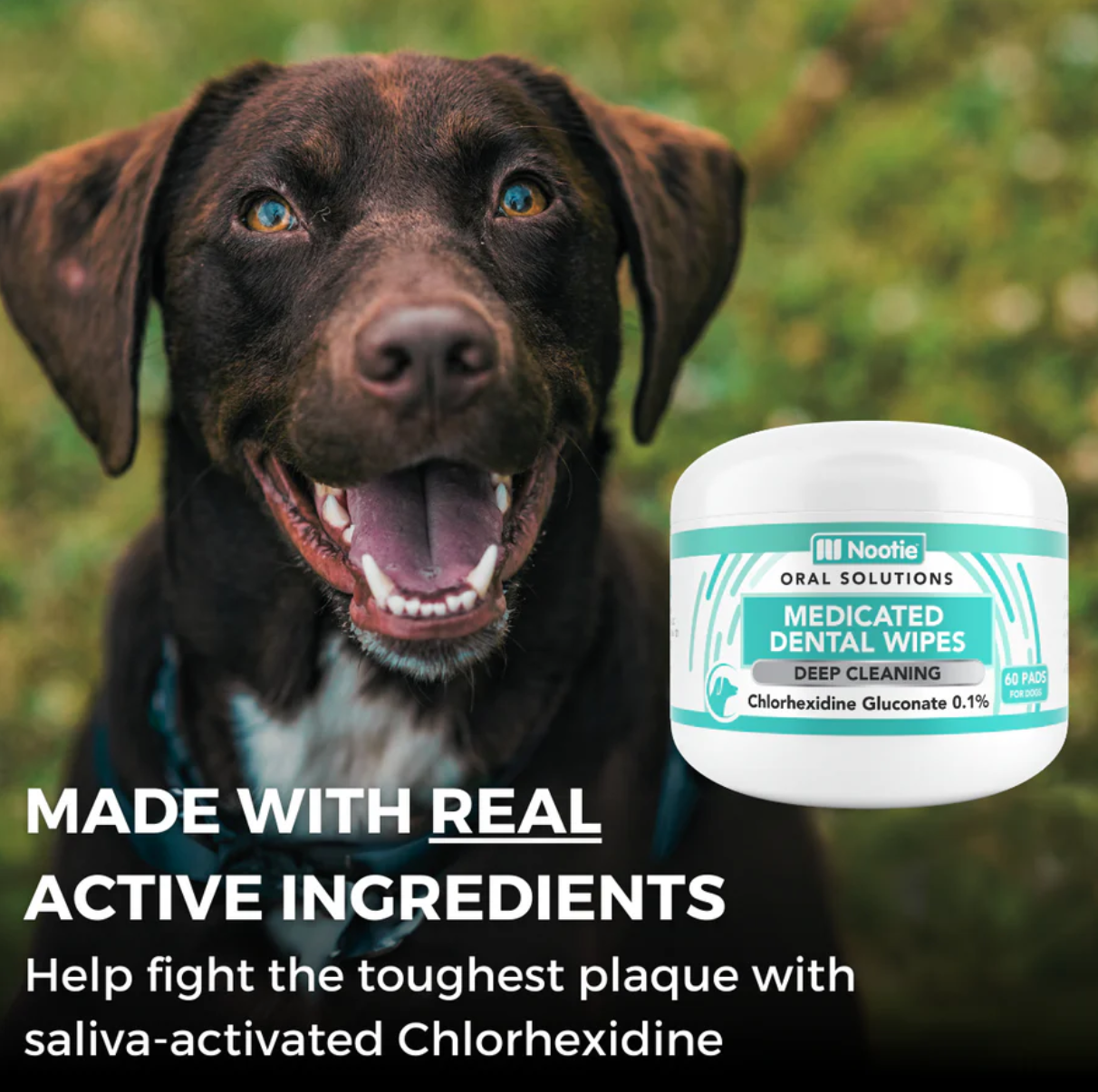 Nootie | Antimicrobial Dental Pads
