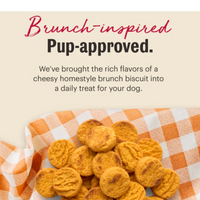 Honest Kitchen | Cheddar Biscuits