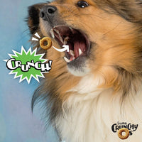 Fromm Crunchy O's Pumpkin Kran Pow dog treats package back panel showing ingredients and nutritional information
