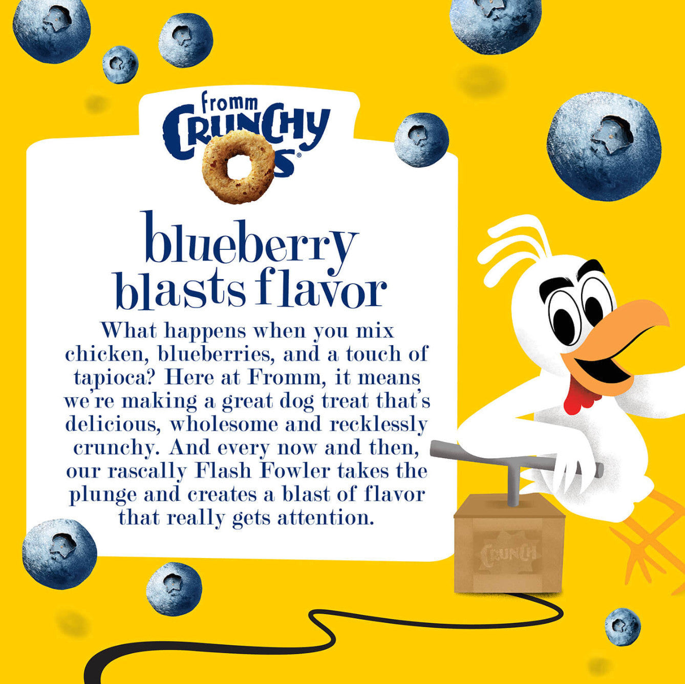 Fromm Crunchy O's Blueberry Blasts dog treats scattered on white surface showing circular biscuit shape and texture