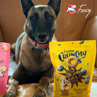 Fromm Crunchy O's Blueberry Blasts dog treats scattered on white surface showing round biscuit shape and texture