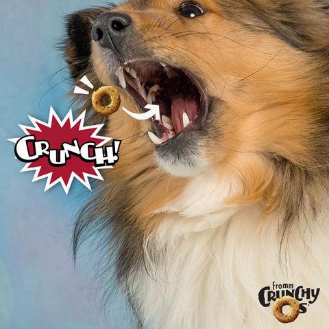 Fromm | Crunchy O's | Pot Roast Punchers