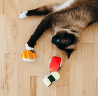 P.L.A.Y. | Feline Frenzy | Sassy Sushi
