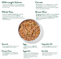 Portland Pet Food | Wally's Salmon N' Rice Meal