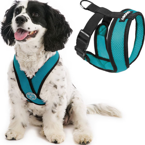 Gooby | Comfort X Head-In Harness | Turquoise