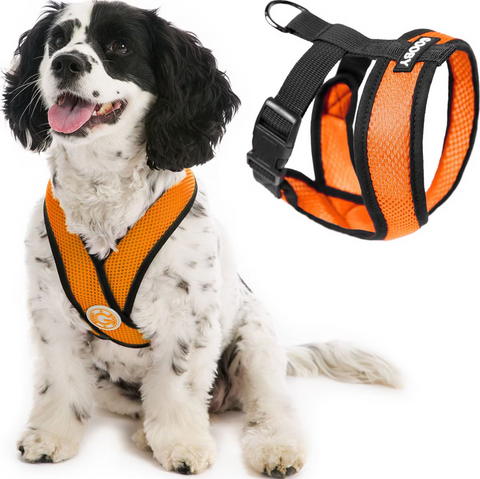 Gooby | Comfort X Head-In Harness | Orange