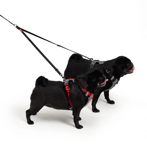 EzyDog | Soft Touch Coupler Lite