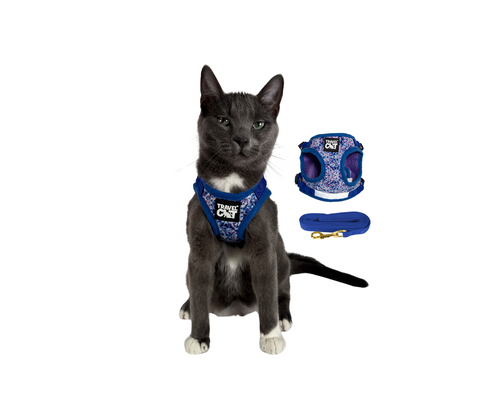 Travel Cat | Harness | Groovy Cat Harness & Leash Set