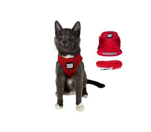 Travel Cat True Adventurer cat harness and leash set in black with adjustable straps and safety clips