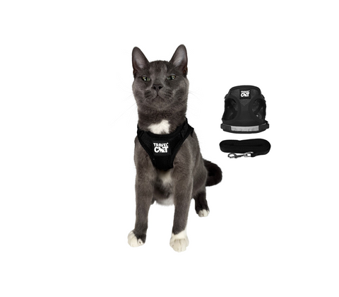 Travel Cat | Harness | True Adventurer Harness & Leash