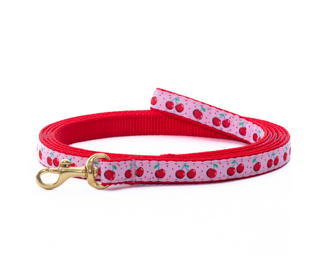 Up Country | Small Breed | Cherries