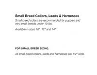 Up Country | Small Breed | Blue Howdy