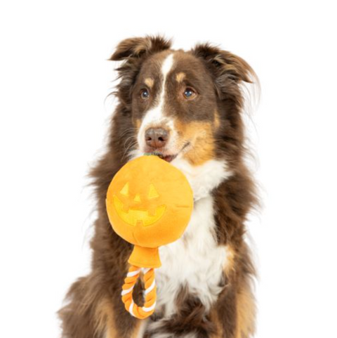 Huxley & Kent | Pumpkin Rope Toy