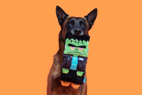 BARK | Cranky Frankie Toy