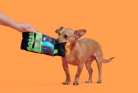 BARK | Cranky Frankie Toy