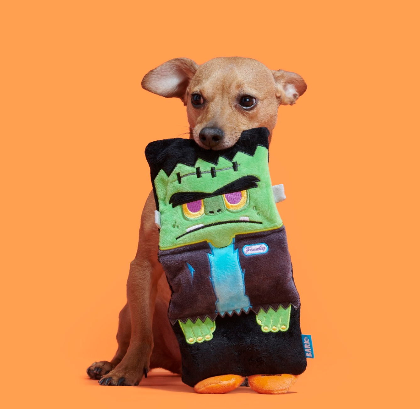 BARK | Cranky Frankie Toy