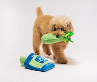 P.L.A.Y. | Celery Bag