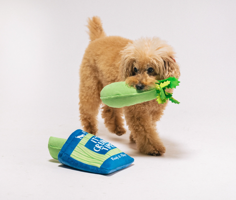 P.L.A.Y. | Celery Bag