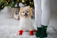 Pearhead | Naughty & Nice Sock Set