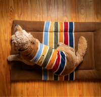 Pendleton | Crate Mat | Joshua Tree