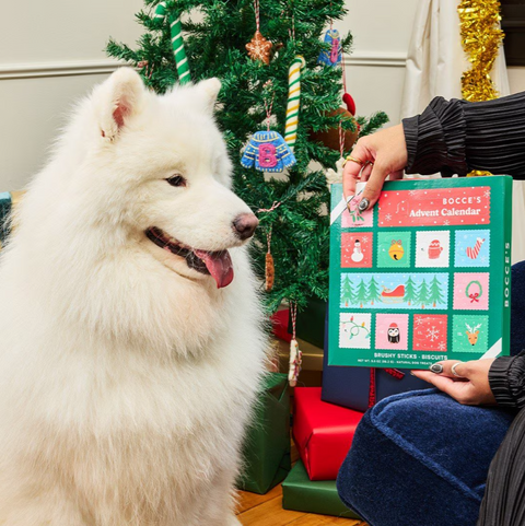 Bocce's | Advent Calendar